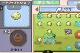 口袋妖怪:本视频看了之后,你以后都不敢开金手指!视频封面
