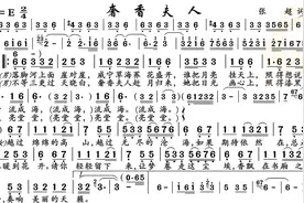 动态谱-奢香夫人图片