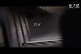 预告！红色百宝的开箱vlog即将上线图片