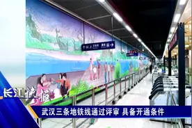 武汉三条地铁线通过评审 具备开通条件视频封面