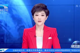 20年 这个湖北乡镇走出三位党代表视频封面