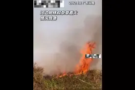 赞！广东一小伙开摩托艇“掀水花”救火：技术活图片