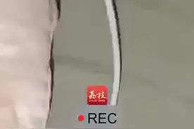 警惕！女子睡觉被10厘米蜈蚣咬太阳穴：脸全肿了图片