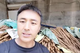 今天给大伙分享一下，怎么区分铁棍山药的真假，谢谢大家的观看！视频封面