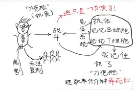 猫为什么要打疫苗