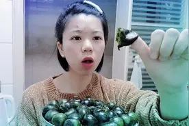 艾草青团一不小心冻了三年，蒸出来你敢吃吗？江西妹子亲身体验。