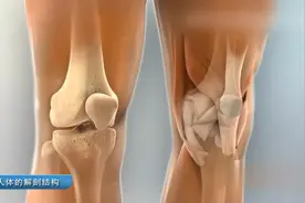 2分钟带你看清楚人体各个器官是怎么工作的视频封面