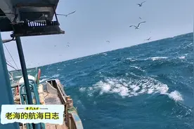 渔民老海远海作业，遇海上7级大风究竟多大威力，老海带你揭秘视频封面