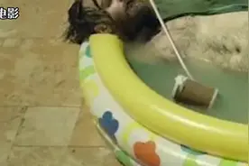 全世界就剩下你一个人，你会怎么做视频封面