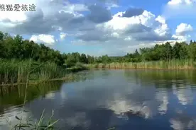 放弃中国国籍的中国人，想要恢复国籍将有多难？看完涨知识了.mp4视频封面
