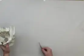 人体腿部骨骼与肌肉解析视频封面
