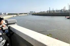 东莞长安茅洲河，13公里风景道，现在是游玩的好地方视频封面