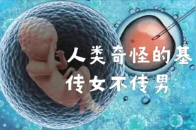 人类有个奇怪基因传女不传男，女性一脉相传视频封面