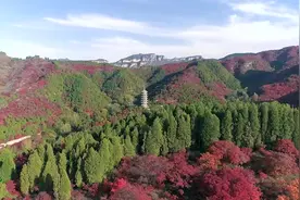 落霞孤鹜，红叶映潭！全景航拍带你瞰济南红叶谷的醉美时刻视频封面