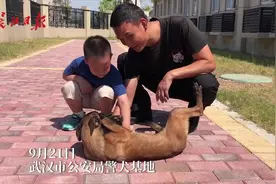 强势围观！萌娃探秘警犬基地啦视频封面