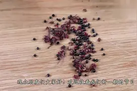 花椒里面的黑籽，随手丢在花盆里，竟能长成漂亮的小盆栽！