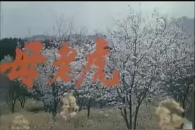 经典黄梅戏：《母老虎上轿》全本视频封面
