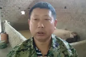 我们吃的猪肉有哪些品种,养母猪选哪个品种比较赚钱