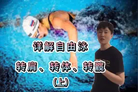 自由泳：转肩与转体视频封面