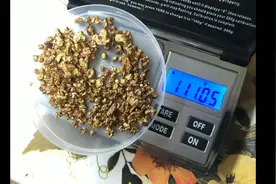 淘金你见过，探金你知道吗？视频封面