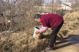 农村老太太喜欢干净卫生视频封面