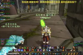 魔兽世界怀旧服：猎人妹子单刷厄运西镇长心灵之流在招手！视频封面