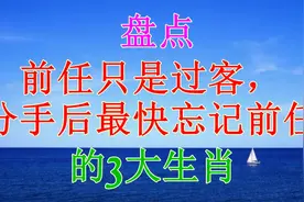 前任只是过客，分手后最快忘记前任，很快地寻找下家的三大生肖视频封面