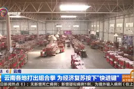 云南各地打出组合拳 为经济复苏按下“快进键”视频封面