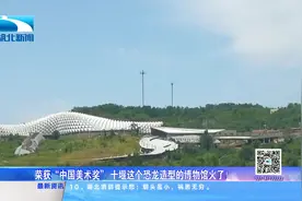 荣获“中国美术奖” 十堰这个恐龙造型的博物馆火了！视频封面