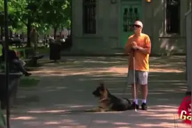 路边遛狗，没想到狗狗居然被跑车上的白富美狗狗勾搭跑了视频封面