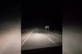 “南拳”和“北腿”的终极对决 澳大利亚两只袋鼠半夜马路上互殴视频封面