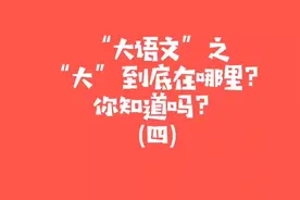 你知道“大语文”吗？请告诉孩子这才是语文！（四）视频封面