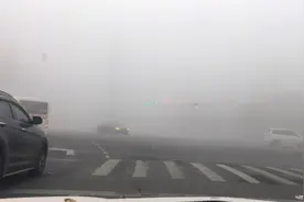 西平杨庄高中路口，大雾天气，注意安全视频封面