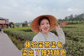 成都周边自驾一日游，亲自采茶染布，结果染出了独特颜色的衣服视频封面