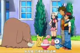 神奇宝贝 小光的小山猪进化成长毛猪后，学会了新的绝招视频封面