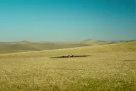 当小岳岳遇到葛大爷，俩笑星一起演戏，不说一句话都觉得好笑！视频封面