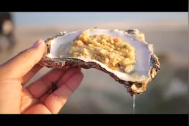你可知道威海乳山是“中国牡蛎之乡”视频封面