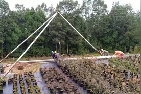 野外没有吊车，电杆是如何立起来的呢？