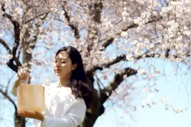 赏樱季～聆听日本传统民歌《樱花》。唯美女声与水晶颂钵。视频封面