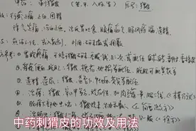 中药刺猬皮的功效及应用介绍视频封面