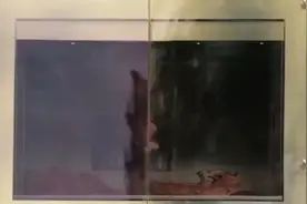 比尔盖茨的私人“豪宅”竟是这样！活得还不如树，看完涨见识了！视频封面