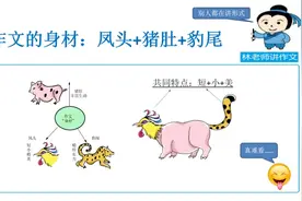 作文里的凤头猪肚豹尾是啥意思，这次老师全讲明白了视频封面