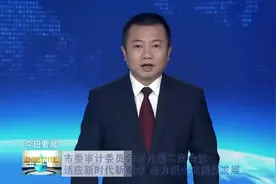 德州市委审计委员会召开第二次会议视频封面