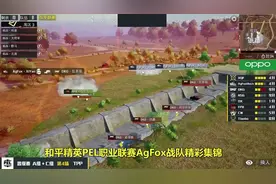 和平精英PEL：AgFox战队单人灭队DKG，堪称天神下凡视频封面