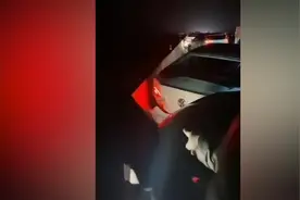 河南连霍高速陕州段连发8起车祸 5人为避险 翻越护栏意外坠桥死亡视频封面