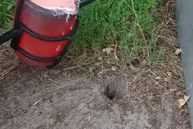 地下长了马蜂窝，一桶2000℃的铝水浇下去，甭管啥都烧没了！视频封面