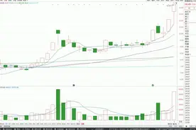 炒股越简单越有效，散户学会5弯10均线战法，轻松捕捉主升浪。视频封面