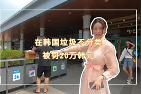 垃圾不分类，韩国竟然要罚20万视频封面