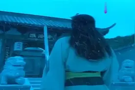 《九阴真经》：乱世桃花，黄药师反出青海派，东邪追杀赵不凡