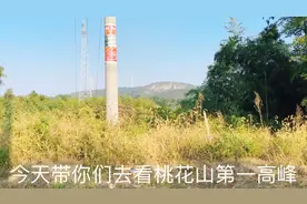 带你游玩华容县最高峰，桃花山雷打岩，附带路线攻略视频封面